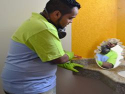 Dedetização de Apartamento Na Zona Sul