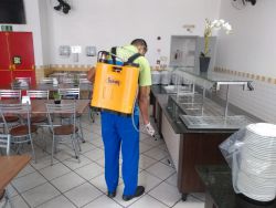 Dedetização para Bares em SP