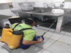 Dedetização para Restaurantes em SP