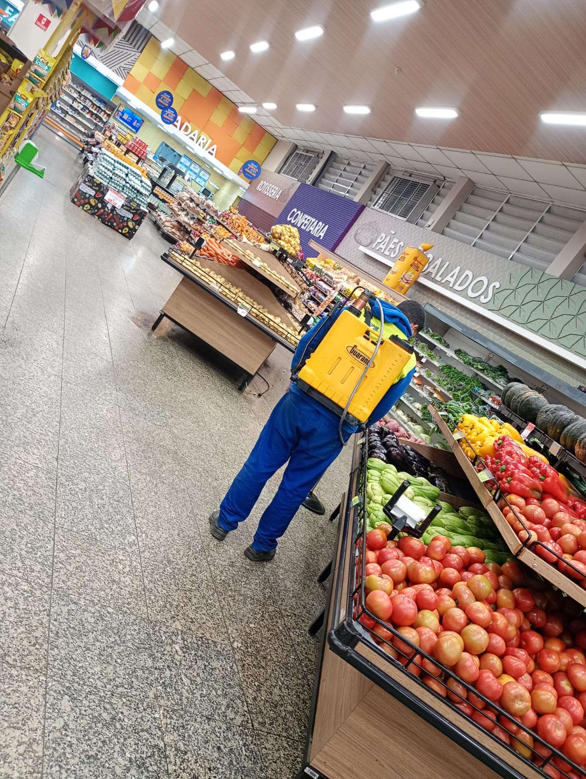 Dedetização para supermercados em Sp