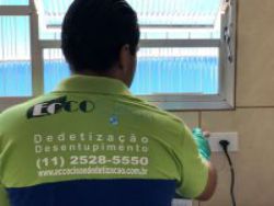 Dedetizadora em São Caetano Do Sul