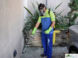 Dedetizadora Na Zona Leste