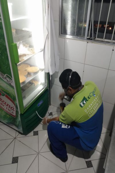 Controle de Pragas para Restaurantes em São Bernardo